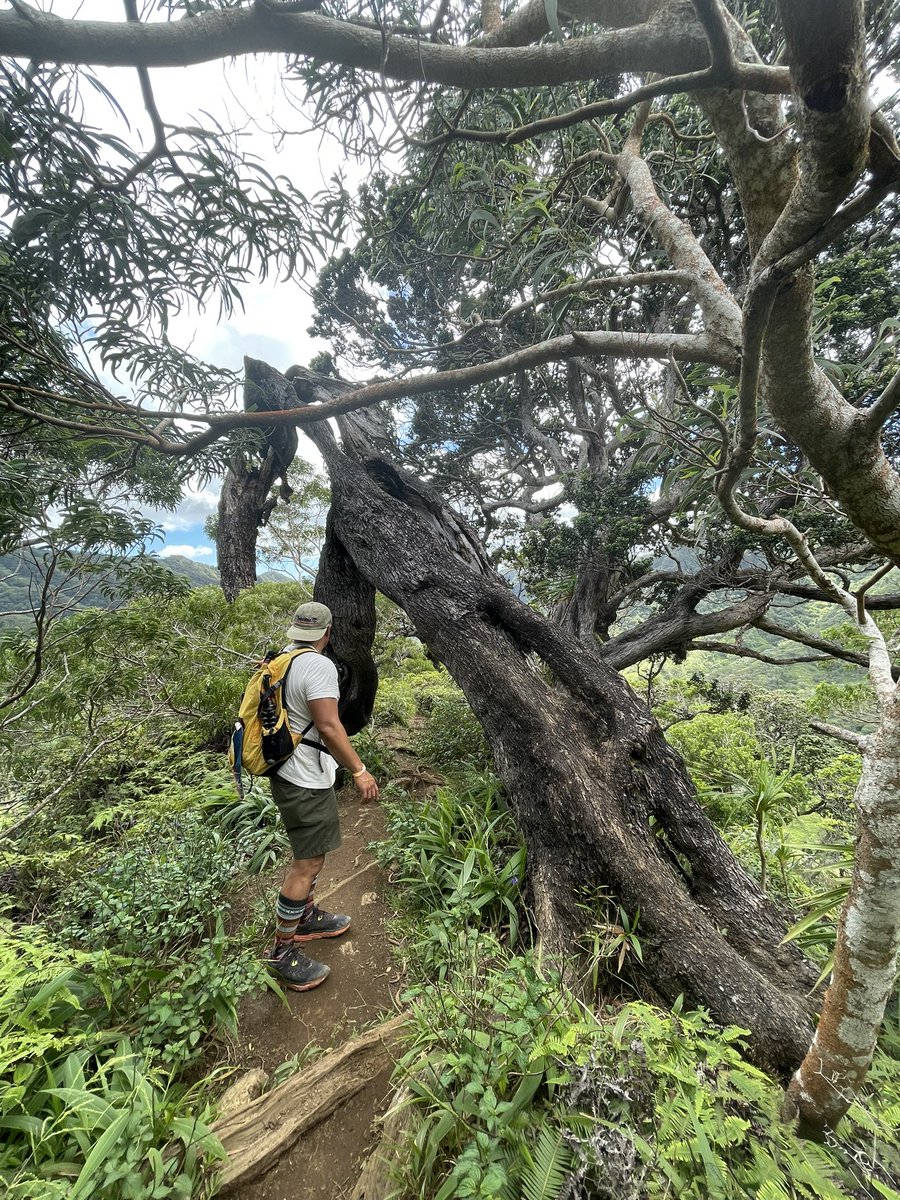 viaisabelle's tweet photo. This was by far the CRAZIEST, exhilarating and most breathtaking hike I have ever did https://t.co/HzcOyfBD83
