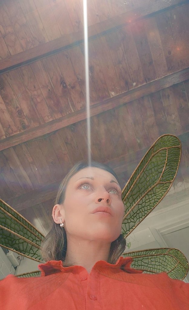 TheFairies_'s tweet photo. Mr Sun☀️ 

beaming into my brainz for my birthday 🤍🔥

#sunlight #modestep #cardano #BDAY https://t.co/uC1nuu4UsE