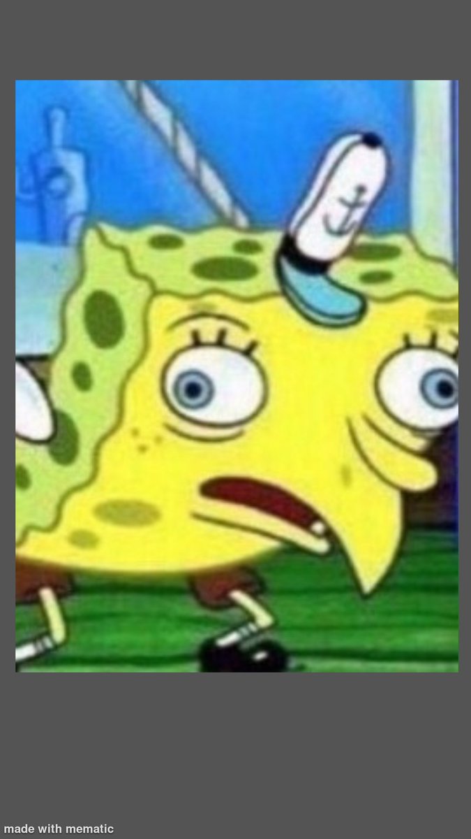 notafurry tweet media