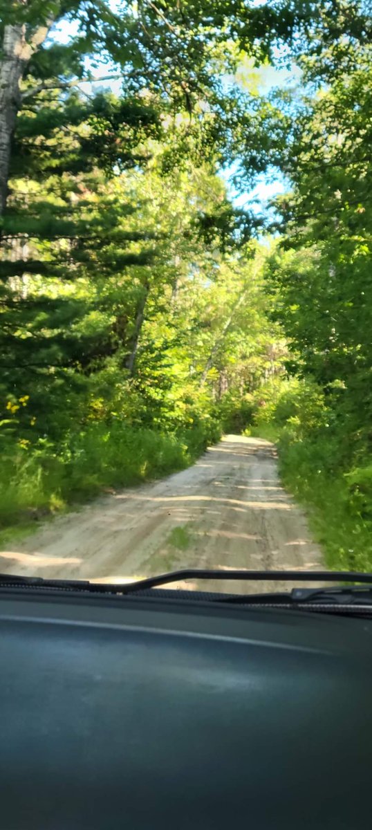 Our favorite kind of place...👣👣👣
#girlsthatsquatch #bigfoot #cryptids #sasquatch #WoodsGirls #northernmn #chippewaforest