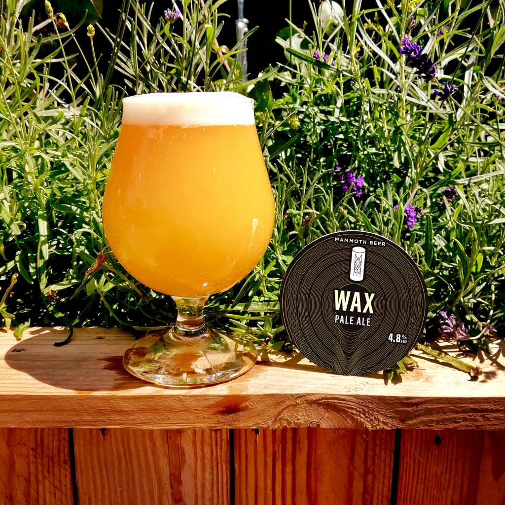draughtdrop's tweet photo. WAX - PALE ALE (4.8%)🕯️coming your way this Friday from @mammothbeeruk. Whirlpooled with El Dorado for some lovely tropical layers, then dry hopped with Mosaic and Ekuanot for big juicy flavours and aromas.

Get it here👇

https://t.co/jeqbCEP2Xa https://t.co/oAverAc4gE