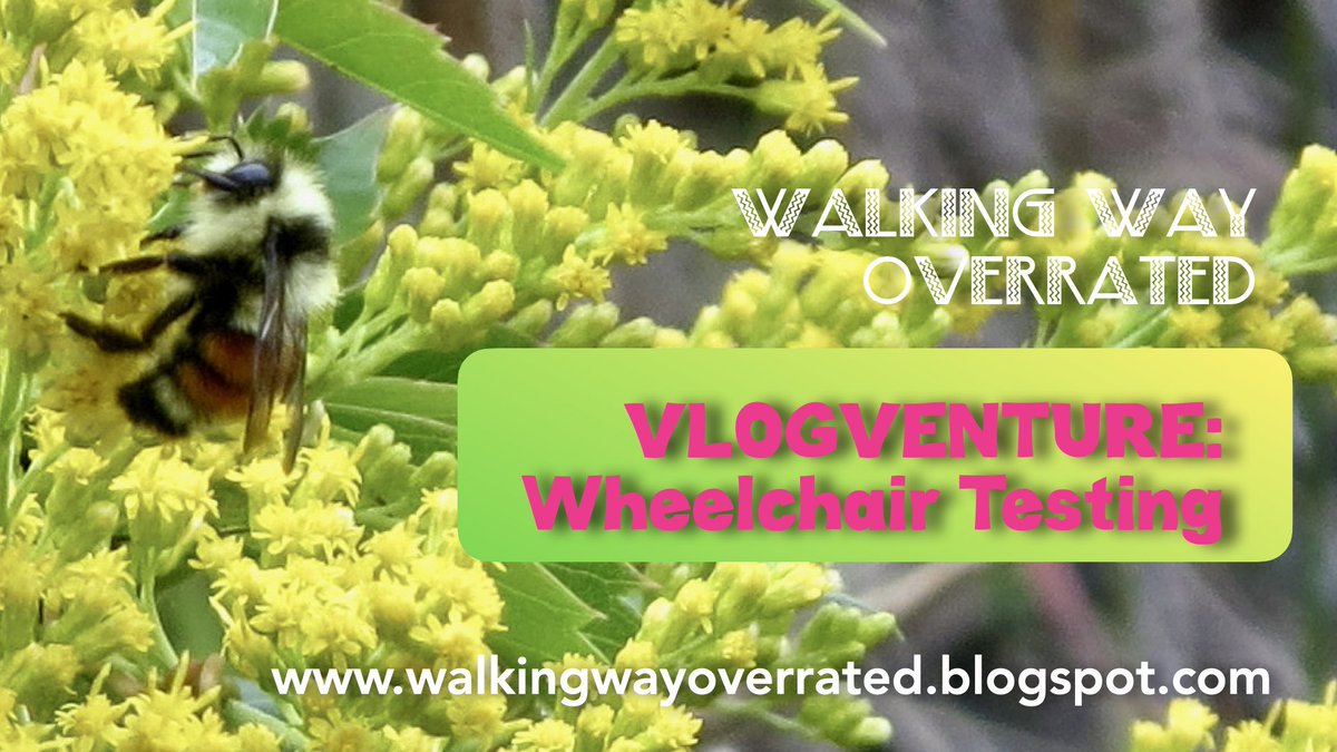 ABergieCreation's tweet photo. Walking, Way Overrated: VlogVenture: Will My Batteries Make it. Wheelchair... https://t.co/CIvIBmgTCu #wheelchairbatteries @video #batterytest #vlog #walkingwayoverrated #disabilityissues https://t.co/GDJSdosMSV