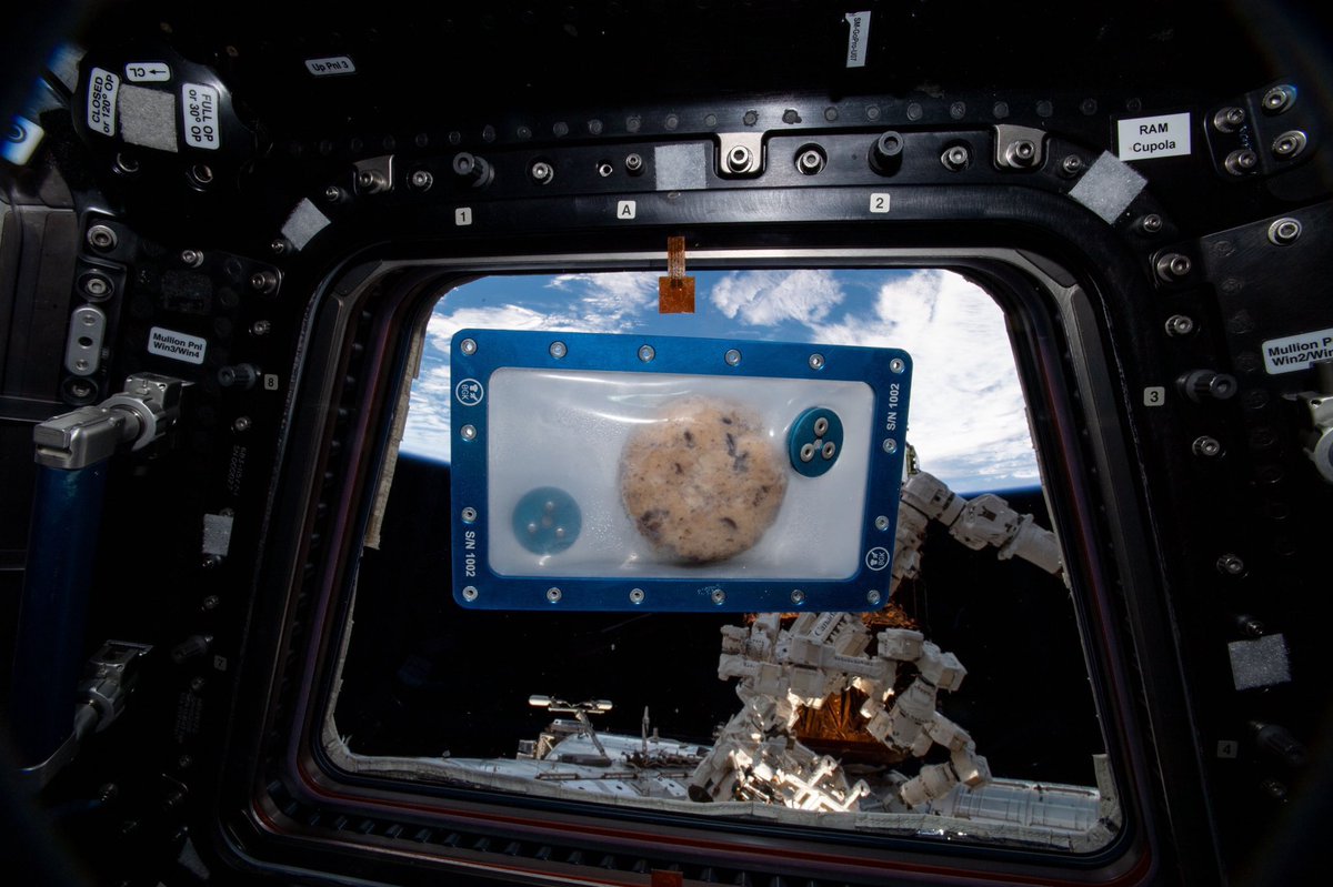 IanFichten's tweet image. @elonmusk  Let’s lunch by our oven on ISS🍪🍪🚀🚀@kitchen_zero