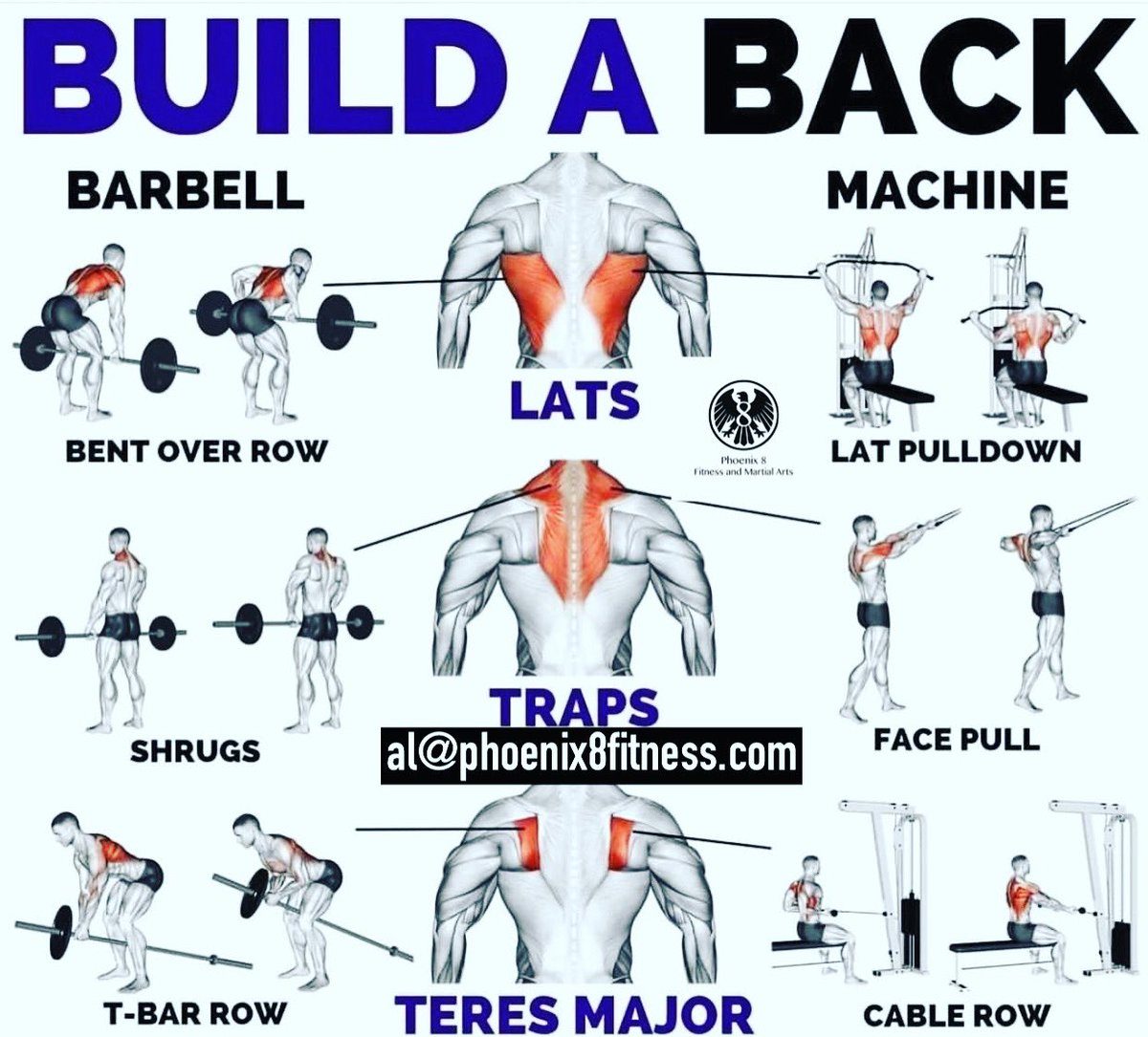 al@phoenix8fitness.com #fitness #gym #fit #instafit #workout #exercise #motivated #fitnessmotivation #dedication #kungfu #kickboxing #nutrition #martialarts #healthylifestyle #fitfam #fitnessaddict #diet #boxercise #muscle #gymrat #grind #hardwork  #altv #fitnessblogger