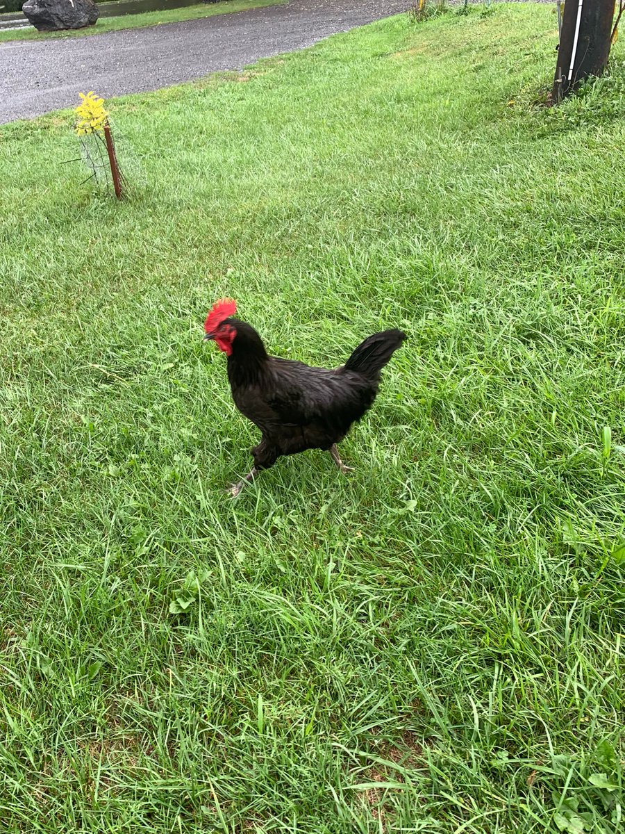 Val LaMore tweet media