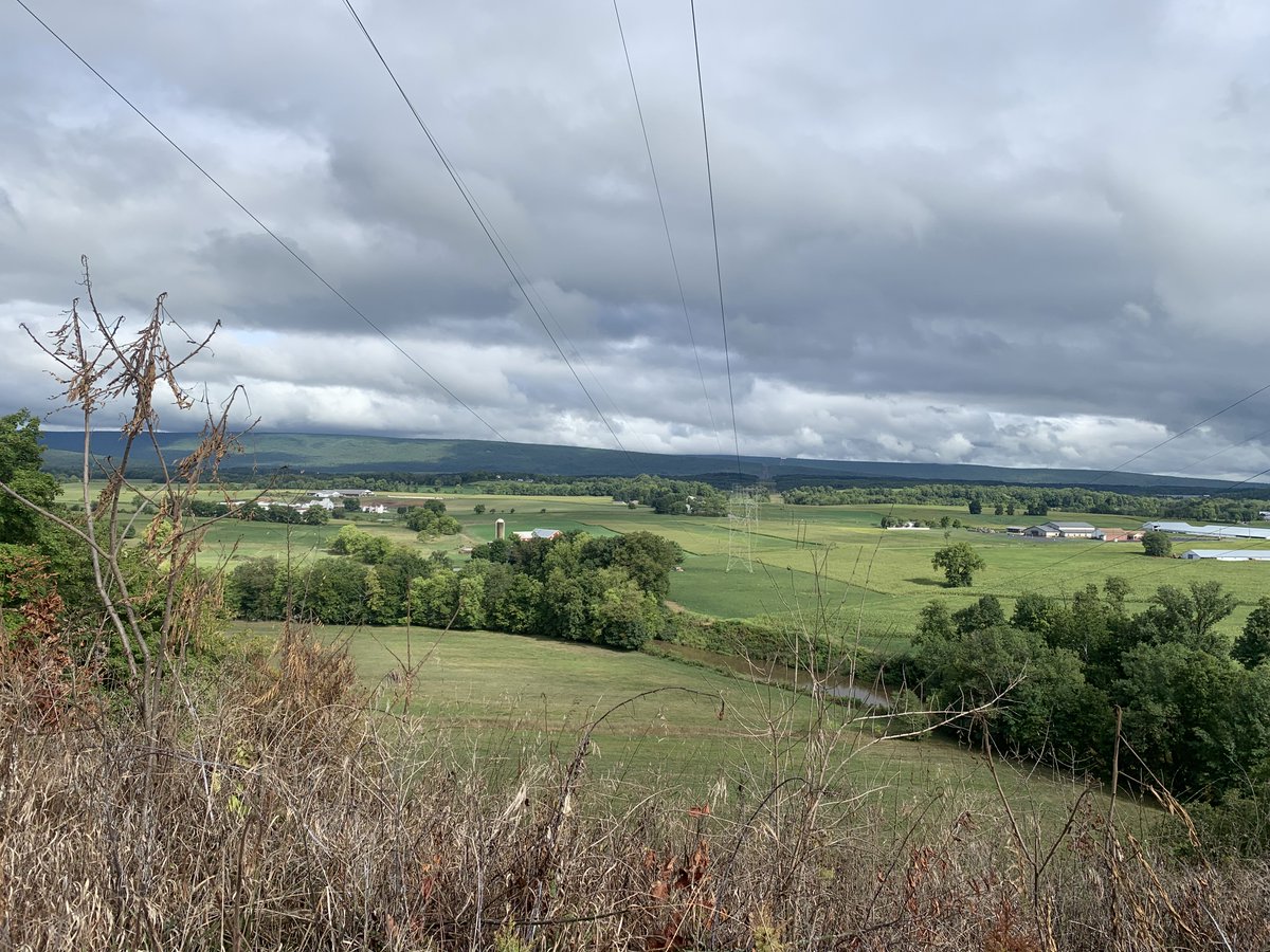 Val LaMore tweet media