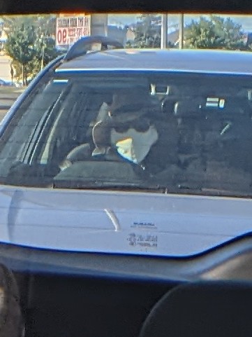 hypnobee's tweet photo. No big deal, but I'm pretty sure Rorschach was following me into work today. https://t.co/emDcSrphvY