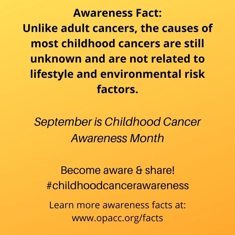 OpaccOrg's tweet photo. #childhoodcancerawareness #ChildhoodCancerAwarenessMonth #opacc https://t.co/dOq6xTbKhE
