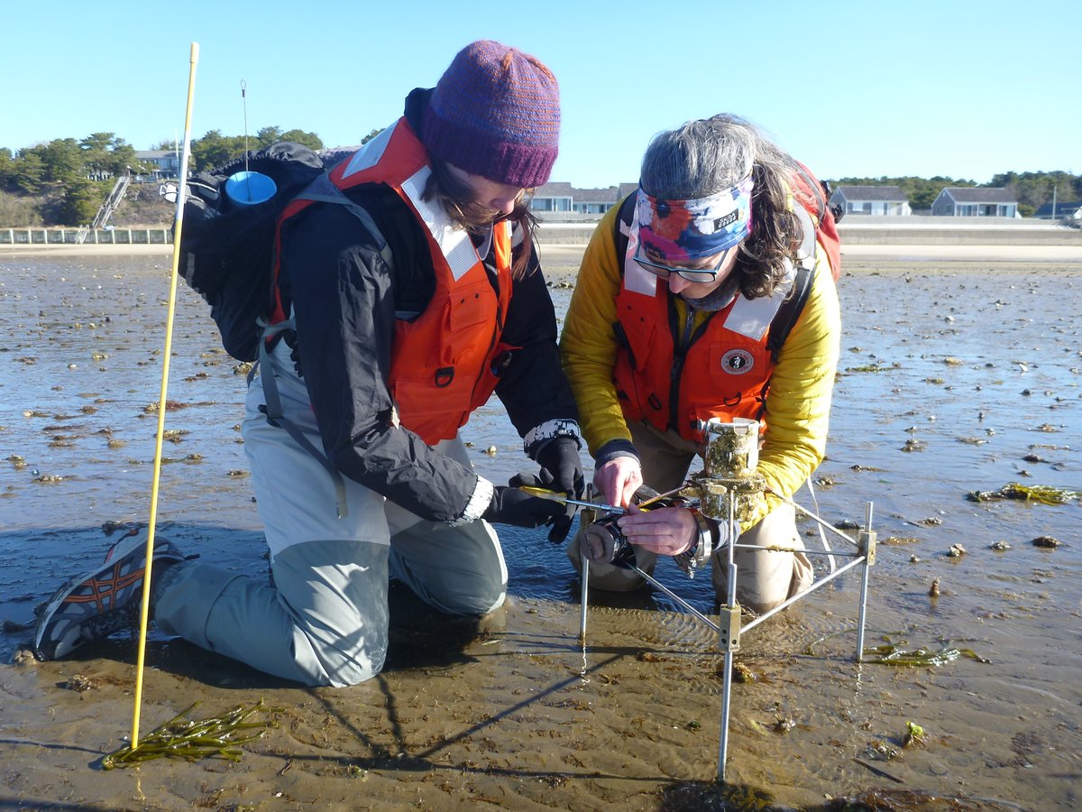 USGS's tweet photo. Are you a #PostDoc looking for a #Fellowship? Are you interested in the Earth Sciences? Then you're interested in us! We've got 44 Mendenhall Postdoc Fellowships available to apply to now: https://t.co/9SftN2JG1N Apply by November 1, 2022! https://t.co/Kzlwd3PnrU