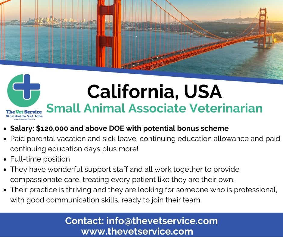 The Vet Service on Twitter "Opportunity in California! 🐶 https