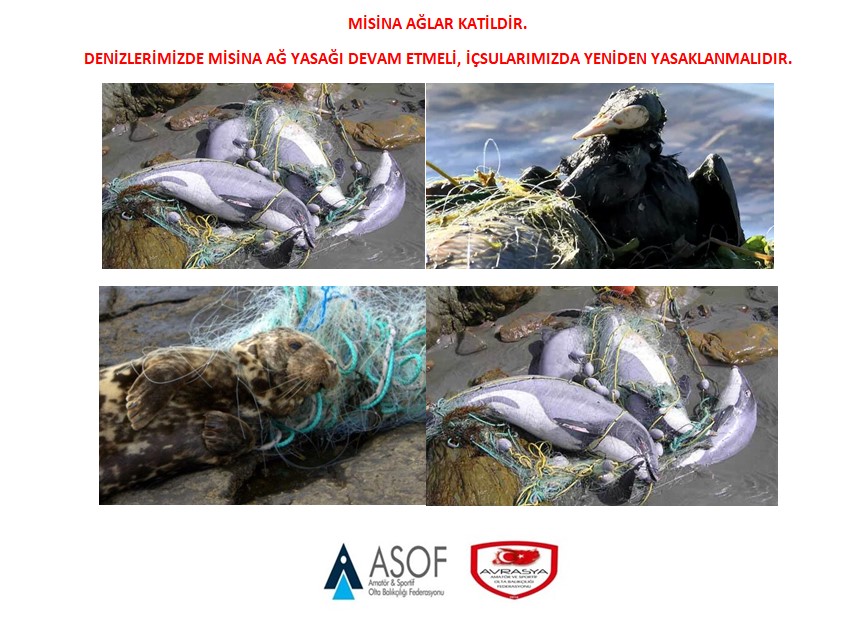 MİSİNA AĞLAR KATİLDİR.
DENİZLERİMİZDE YASAK DEVAM ETMELİ,
İÇSULARIMIZDA DA YASAKLANMALIDIR.
#misinaağlarkatildir <a href="/VahitKirisci/">Prof.Dr.Vahit Kirişci</a> <a href="/ntv/">NTV</a> @FOXTurkiye <a href="/cnnturk/">CNN TÜRK</a> <a href="/trt/">TRT</a> <a href="/trtcocuk/">TRT Çocuk</a> <a href="/tv8/">tv8</a> <a href="/halktvcomtr/">Halk TV</a> <a href="/startv/">STAR TV</a> <a href="/Ahaber/">A Haber</a> <a href="/atvcomtr/">atv</a> <a href="/cumhuriyetgzt/">Cumhuriyet</a> <a href="/Sabah/">Sabah</a> <a href="/Greenpeace_Med/">Greenpeace Türkiye</a> <a href="/AzizGwenSancar/">Aziz Sancar</a> <a href="/yilmazsozcu/">Yılmaz ÖZDİL</a>