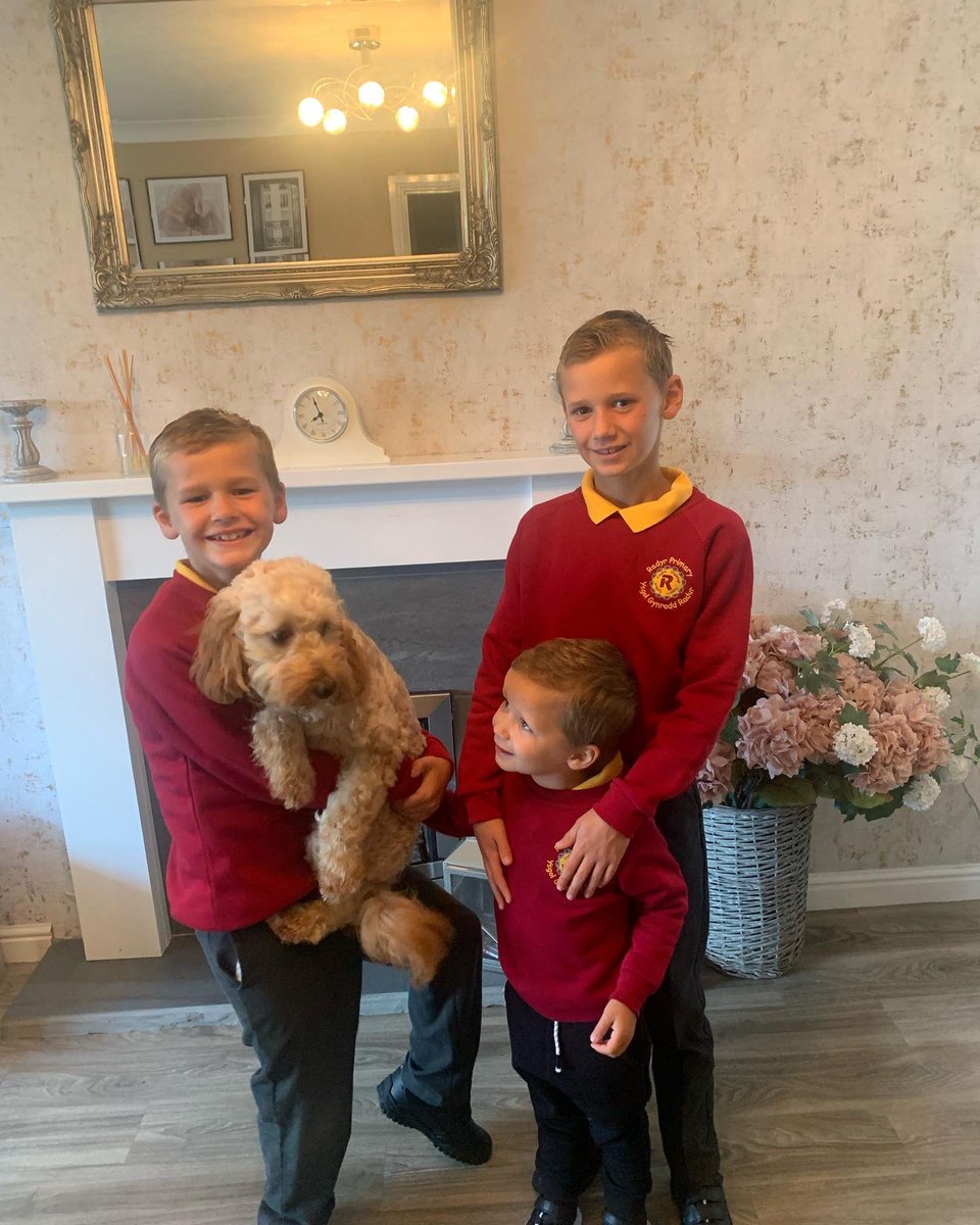 RJHeatingSpecialist tweet media