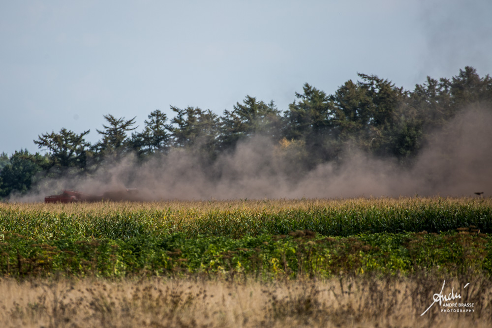 andrebrasse's tweet photo. #Bosbrand bij #Langelo? Nee, hier is een boer bezig zijn uitgedroogde land te bewerken. Het wordt tijd dat er flink wat💧💦💧💦regen valt. https://t.co/cureMLgOwi