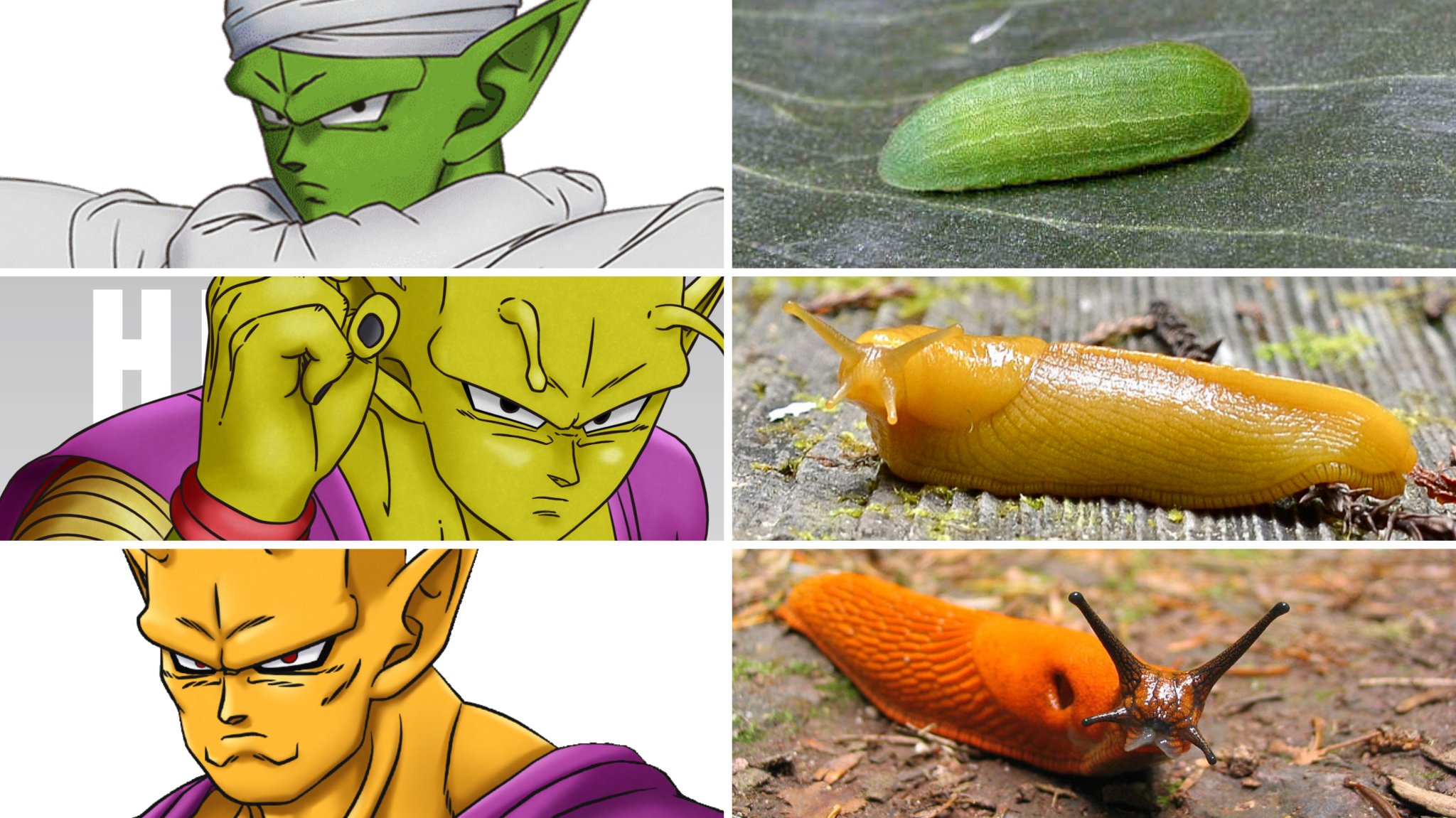 SLO on Twitter "I love that Piccolo's forms are based on different