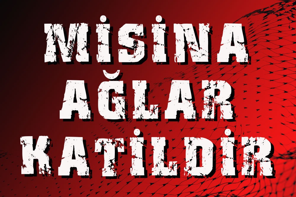 Asof_Fed's tweet photo. MİSİNA AĞLAR KATİLDİR.
DENİZLERİMİZDE YASAK DEVAM ETMELİ, İÇSULARIMIZDA DA YASAKLANMALIDIR.
#misinaağlarkatildir @VahitKirisci @ntv @FOXTurkiye @cnnturk @trt @trtcocuk @tv8 @halktvcomtr @startv @Ahaber @atvcomtr @cumhuriyetgzt @Sabah @Greenpeace_Med @AzizGwenSancar @yilmazsozcu https://t.co/atJMuEjwoO