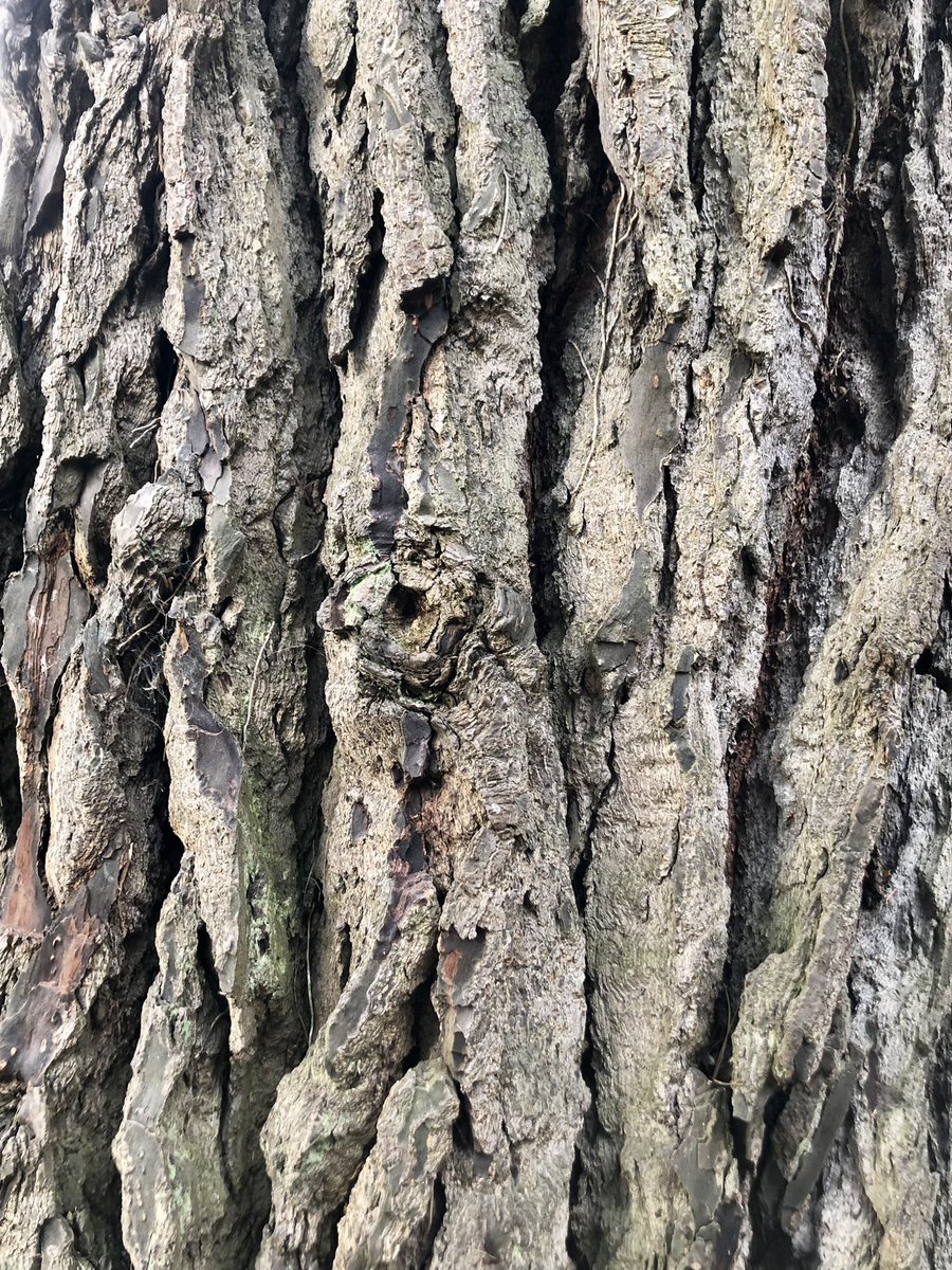 Catherine Russell tweet media