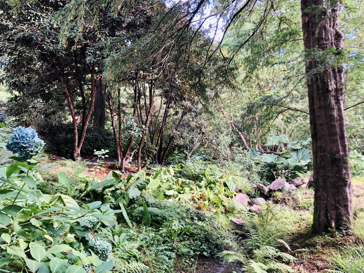 Catherine Russell tweet media