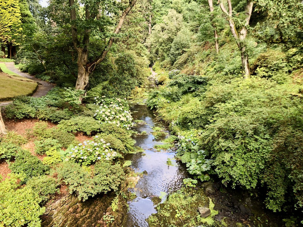 Catherine Russell tweet media