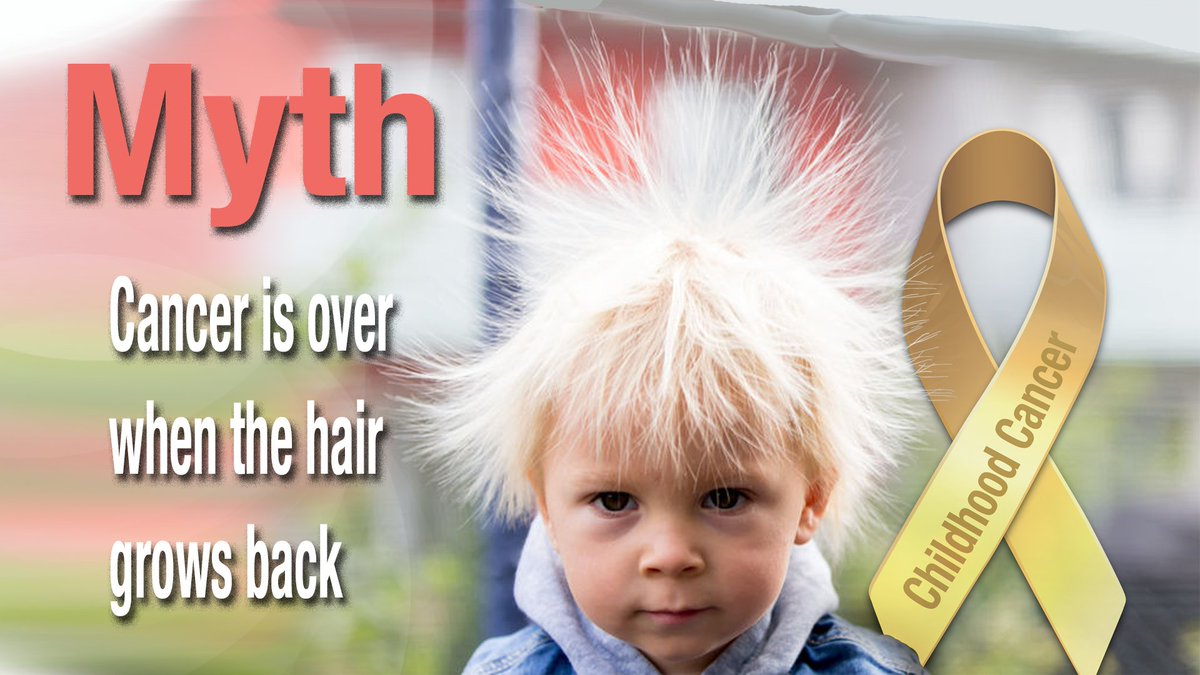 If a chemo causes hair loss, it must also kill cancer. Both are comprised of rapidly dividing cells. ALL cells of growing kids are rapidly dividing. Once the hair returns, most children will spend the rest of their lives chasing health. #ChildhoodCancer <a href="/HappyQuailPress/">Happy Quail</a> <a href="/cac2org/">CAC2</a>