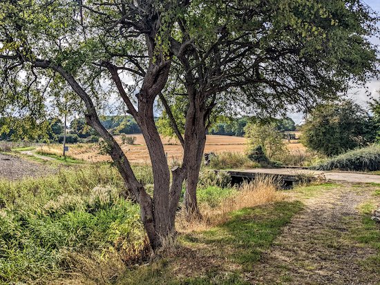 HertsWalker's tweet photo. New: Walk 207: Walkern East Loop 4.8 miles (7.7 km) with 270 ft of ascent. Directions, maps, photographs and GPS navigation files are all free to download and enjoy on any device.
https://t.co/SIPncCTiBv
#Hertfordshire #walking #HertfordshireWalks #Walkern #Ardeley https://t.co/1TwyDmVYDx