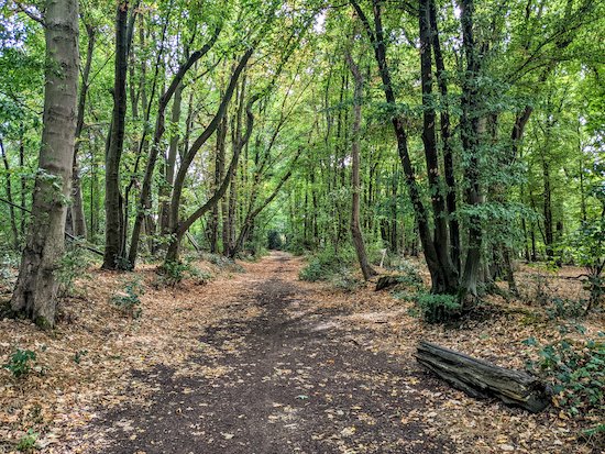 HertsWalker's tweet photo. New: Walk 207: Walkern East Loop 4.8 miles (7.7 km) with 270 ft of ascent. Directions, maps, photographs and GPS navigation files are all free to download and enjoy on any device.
https://t.co/SIPncCTiBv
#Hertfordshire #walking #HertfordshireWalks #Walkern #Ardeley https://t.co/1TwyDmVYDx