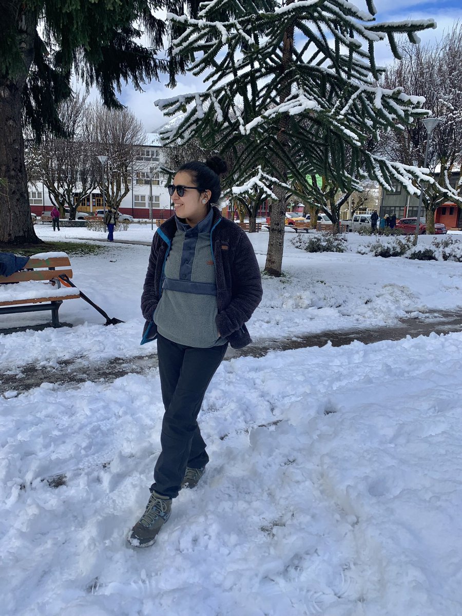 Zebelen's tweet photo. Vacas de invierno ❄️☃️ https://t.co/Prg6wYrDDV
