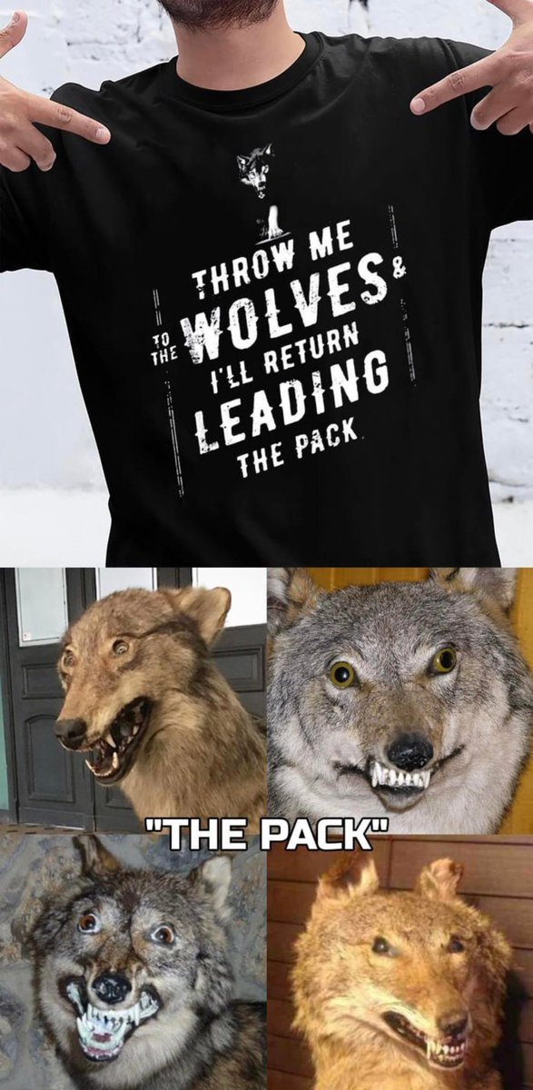 Where’s the #SaitamaWolfPack at?