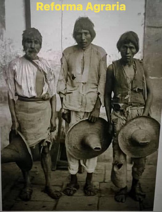FototecaZac's tweet photo. #RecordandoElAyer
Si el campesino quiere sembrar que lo haga en macetas, no en mis tierras, eso decían los Criollos hacendados.
#Fototeca https://t.co/KND0EkxBKJ