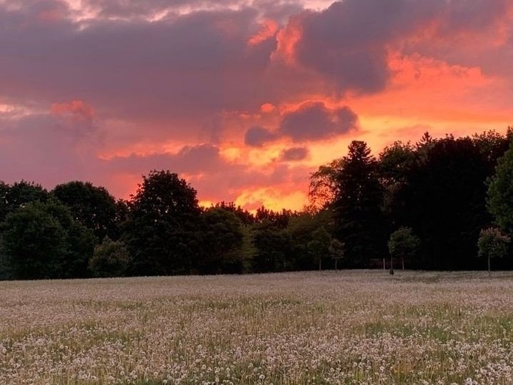 heaven painting 🌥️