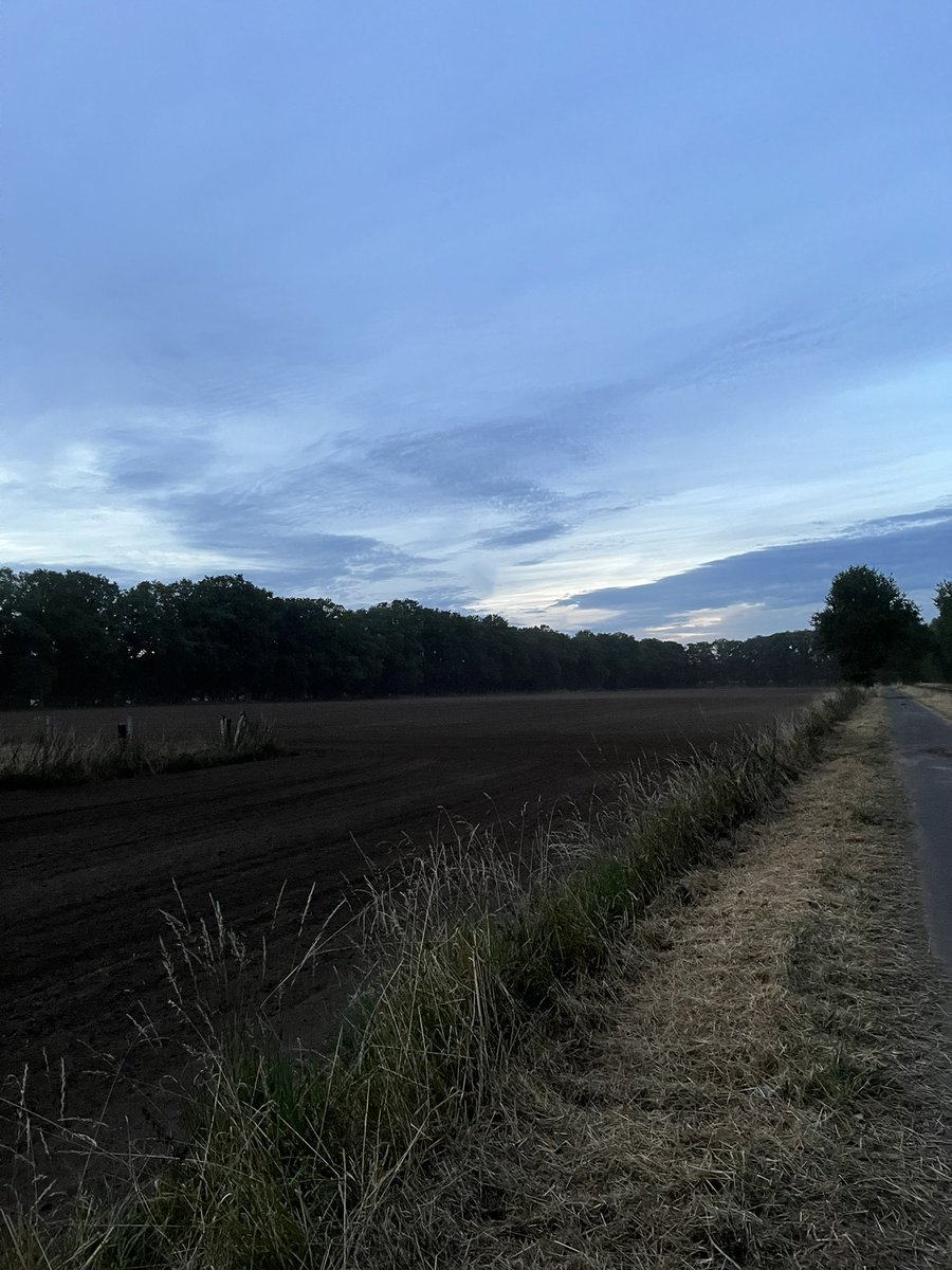 JoergSchepers's tweet photo. Feierabend für heute!😉
Jetzt hoffe ich nur das in den nächsten Tagen der angesagte Regen auch wirklich kommt, damit die Zwischenfrucht 🌱 vernünftige Startbedingungen hat! https://t.co/mithncPe20