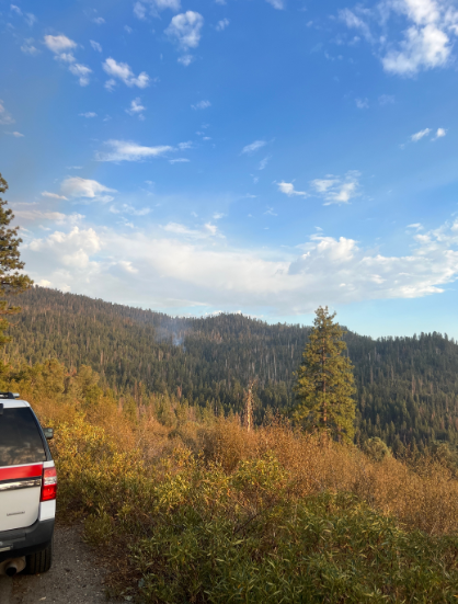 YosemiteFire's tweet photo. There were several reports of smoke in the Alder Creek area yesterday around 5:30 pm. When firefighters arrived, they found two trees that had been struck by lightning and immediately started suppression efforts. The #Alderfire is 1/10 acre. https://t.co/xWendh2l6w
