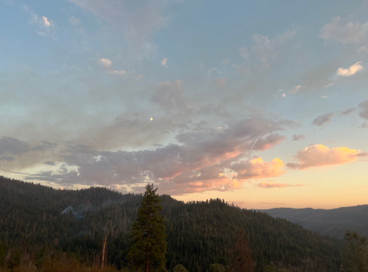 YosemiteFire's tweet photo. There were several reports of smoke in the Alder Creek area yesterday around 5:30 pm. When firefighters arrived, they found two trees that had been struck by lightning and immediately started suppression efforts. The #Alderfire is 1/10 acre. https://t.co/xWendh2l6w