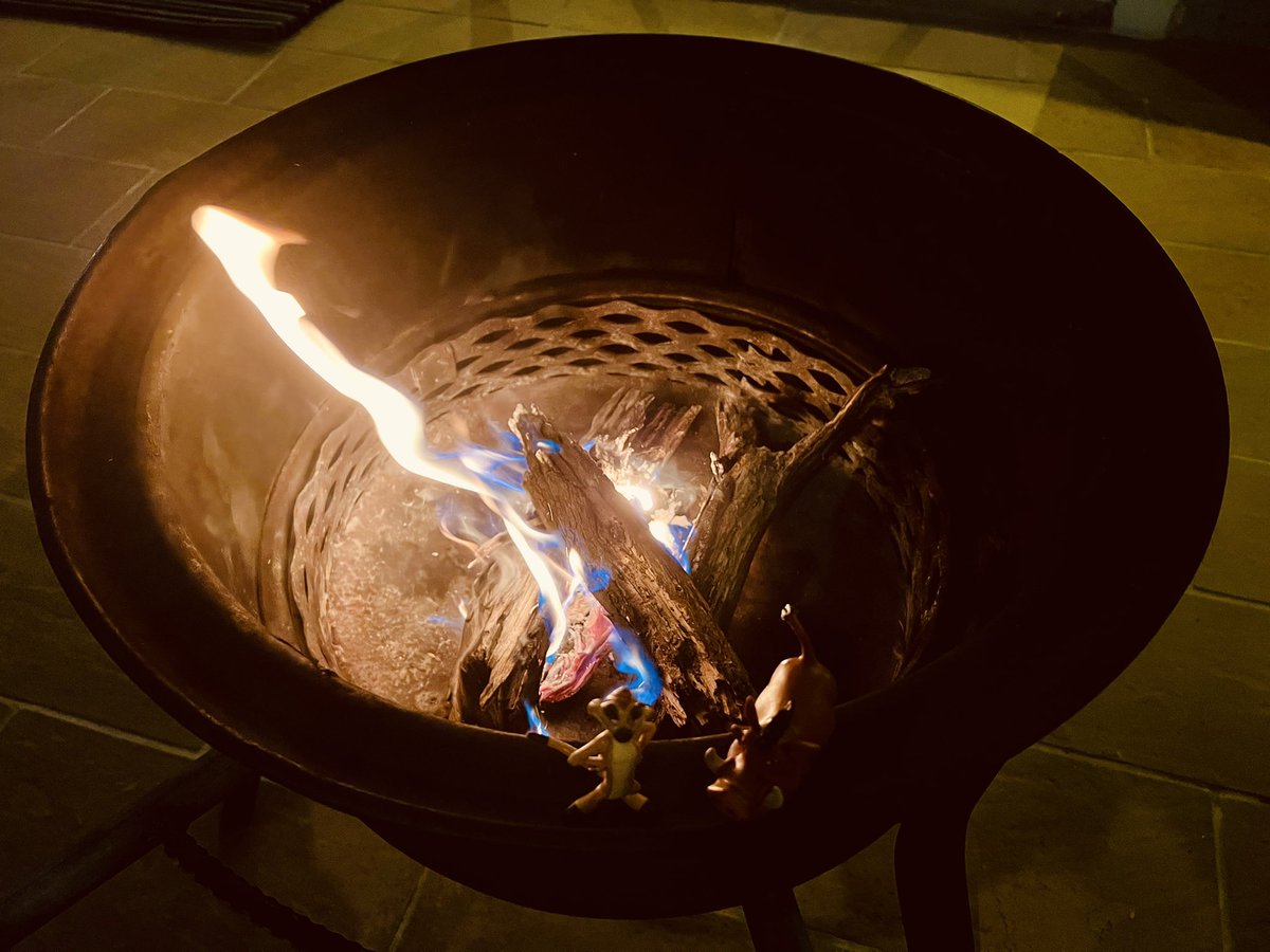 alvaudan's tweet photo. Une petite soirée au bord du feu pour se préparer à la #digitaldetox en vue 😱 #Timon_And_Pumbaa sont au taquet… enfin le Delta de l’Okawango 🤩 #BackToTheRoots https://t.co/r7K6hCsYVS