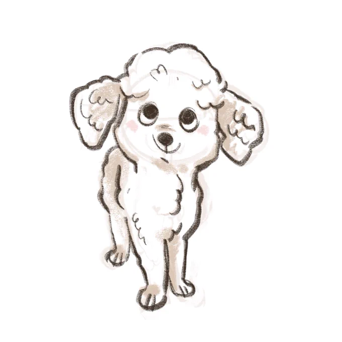 Still working through my pet sketch queue btw. Here are a few I posted on insta. Hoping to be done with the list by the time I'm elderly  