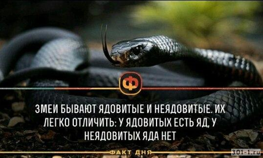 Ranmaru_kompot's tweet photo. #worstthrust #brycetankthrust #bobbyworst
https://t.co/qGCzDsYYxH - ру версия
https://t.co/4lFH3CdpiX - укр версия
я хз, какую картинку прикрепить... приятного прочтения! https://t.co/gEjlSCL7jx