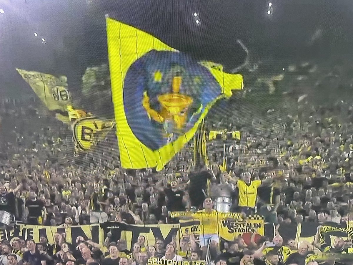 stupidkrasnov's tweet photo. Brøndby flag på ‘den gule mur’ 💛💙 https://t.co/hniFdTgJm8