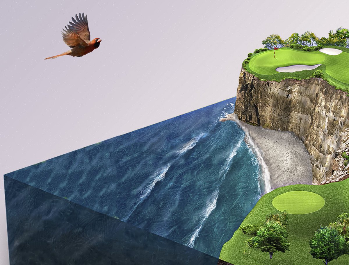 CryptoLinksGolf's tweet photo. ...a rare glimpse of a @CryptoLinksGolf birdie in the wild...
#cryptolinksgolf #collectthecourse #buildyourbag #teeweb3 #crypto #golf #NFT https://t.co/ETwaFY3H6b