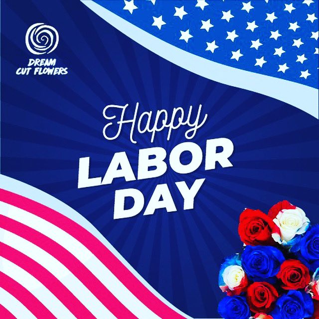 Dream Cut Flowers (@dreamcutflowers) on Twitter photo 