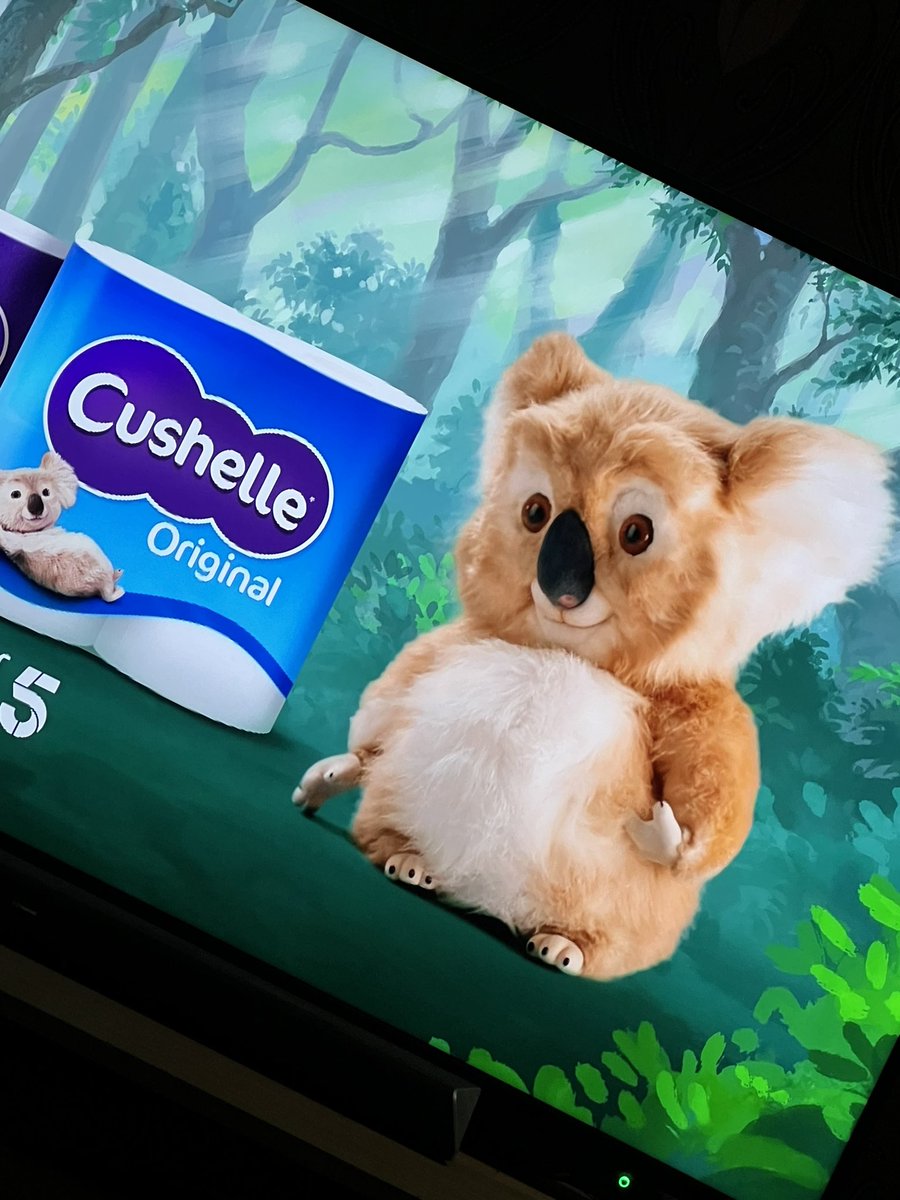 MrsCottrill87's tweet image. What’s up with the cushelle koala ?!?! #channel5 #cushelle #koala #scary