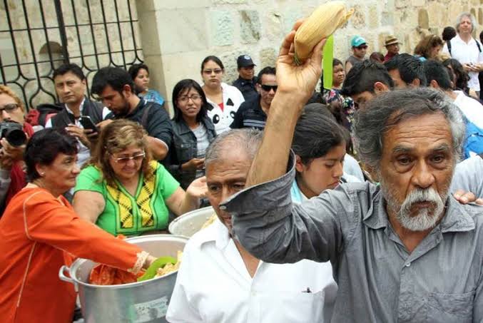 ArenaLuminosa's tweet image. Ayer leía sobre el eterno Toledo y recordé su campaña para evitar que un McDonald's se pusiera en el centro de la ciudad de Oaxaca organizando una tremenda tamaliza, con mujeres de Tlacolula dando tejate y tres bandas de música tradicional. Recaudó más de 10 mil firmas...