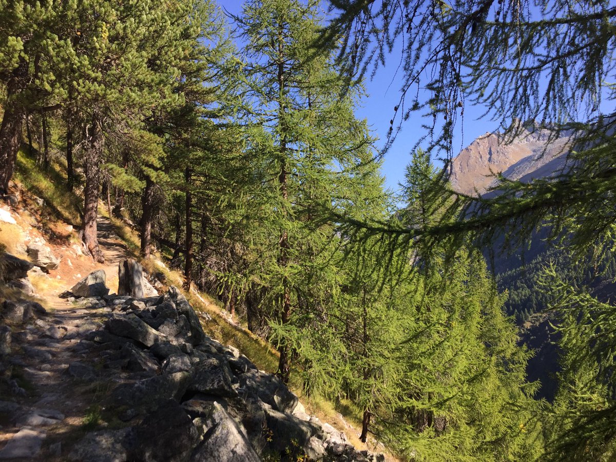 GmurHelen's tweet photo. Heute Morgen in Arolla / Wallis 🇨🇭 #Arolla #Wallis #Valais #Schweiz #Wanderer #Hikers #Seriousclimbers #westopped #peoplewithoutknowledge #tryingtoclimb #afewscarymoments #notamountainrescouer #gratefulforthemoments #learnedsomething #wetryagain #whenlesspeoplearearound☀️🥾🕶🎒🏔 https://t.co/JeCIZlbGoX