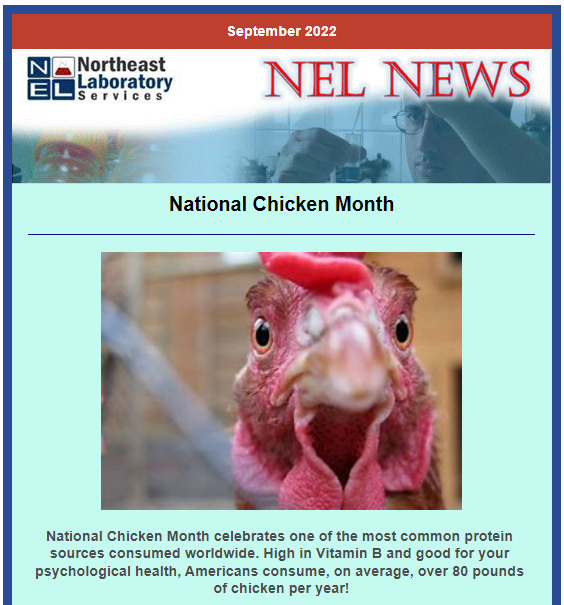 nelabservices's tweet photo. Check this out! NEL's September Newsletter.
Click here to view the full publication:  https://t.co/9c52L5lHaJ
https://t.co/Z3km8Ihm5j https://t.co/OsmyhGylQX