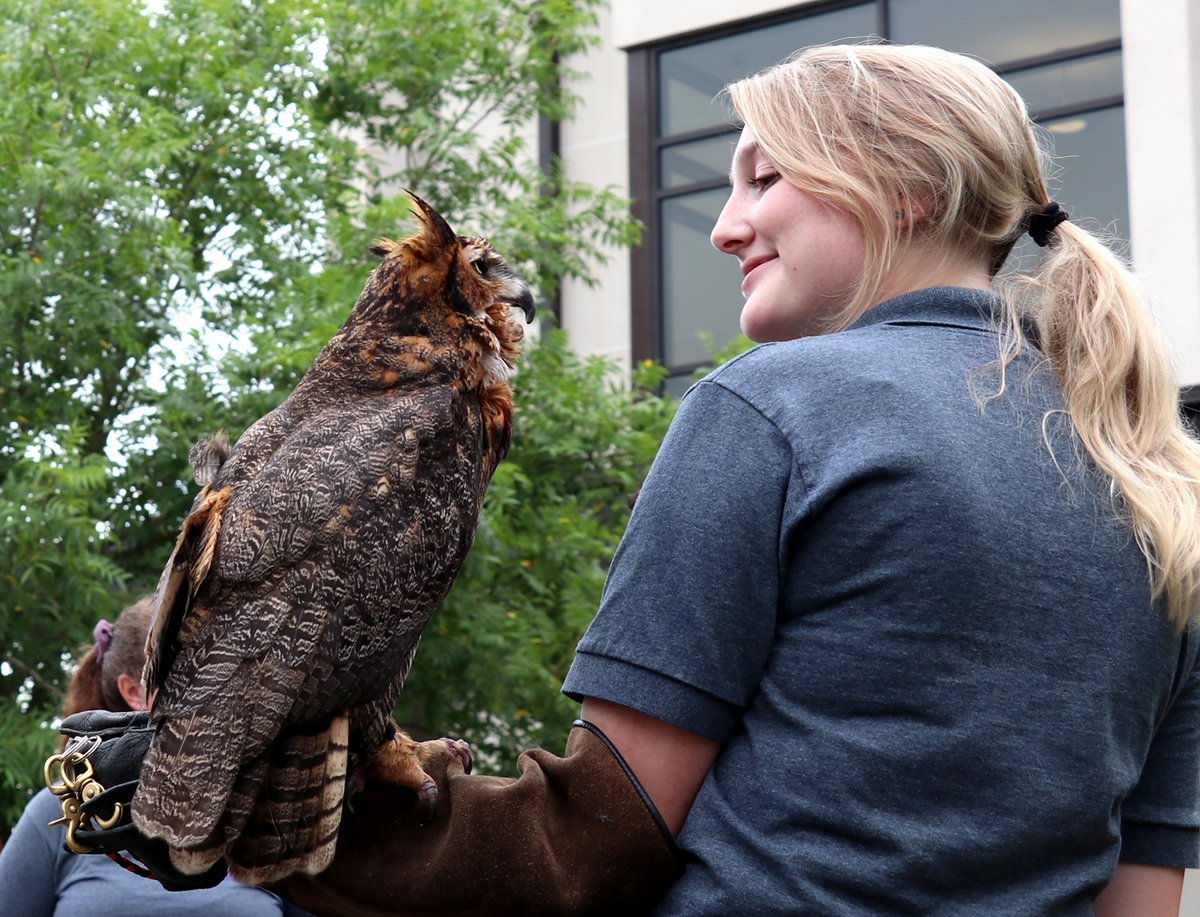 LSU Veterinary Med on Twitter "A career in veterinary medicine is a