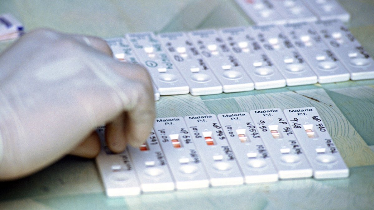 NOVA | PBS tweet media