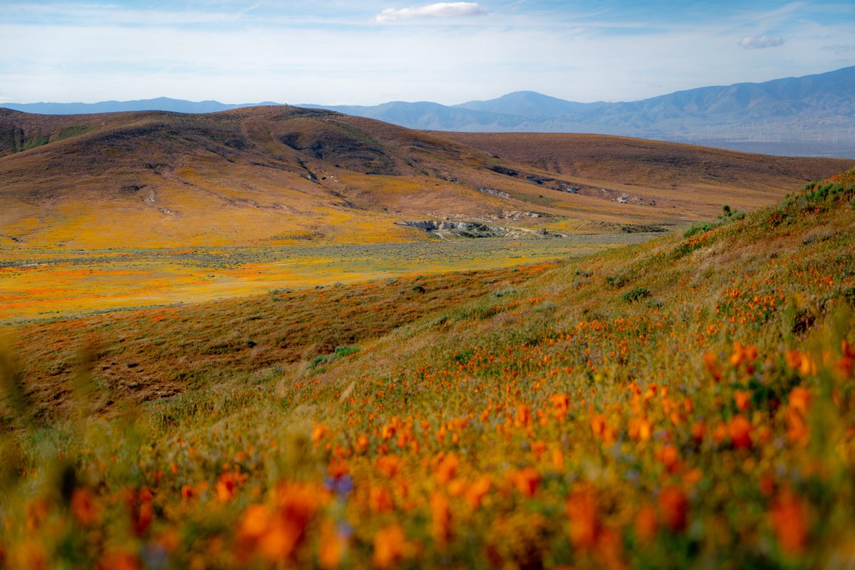 CA_Humanities's tweet photo. Join us for a free informational session about funding opportunities for humanities programming in California! Our virtual Grantseeker Workshop is on 9/7 at 10-11 am PDT. Learn more at: https://t.co/rAlf8CSpOo
#CaliforniaDocumentaryProject #LibraryInnovationLab #CDPNexGen https://t.co/LWayAyc6dz