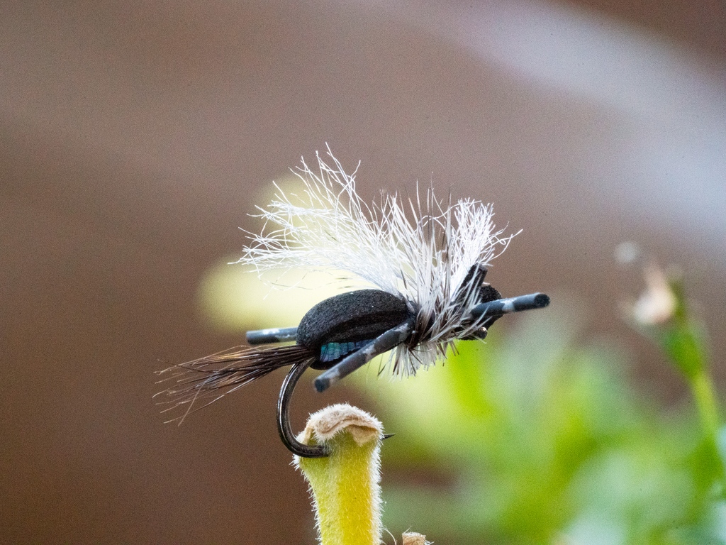 avidmax's tweet photo. Tying Tuesday Alert!🚨
This week we are tying an Andrew Grillos foam pattern. The Mini Hippie Stomper! This is one unstoppable late summer pattern. Guaranteed to pick up some big hogs.
https://t.co/6I2lNICmo2
#avidmax #Troutunlimited #andrewgrillos #foamflies #drydropper https://t.co/OMloA6ICW6