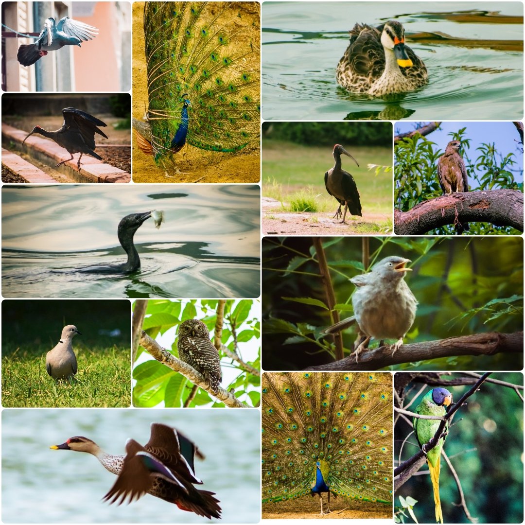 Hey everyone, if u reading this hope u have a great day🤍
All of my collection on ETH✨
Price: 0.01(Editions), 0.02-0.15(1/1s)
Photos in order🤍
1) opensea.io/collection/the… (Edition)
2) foundation.app/@TheFadingSoul… 
3) opensea.io/collection/sou…
4) opensea.io/collection/fle…
#NFTs #NFTartist