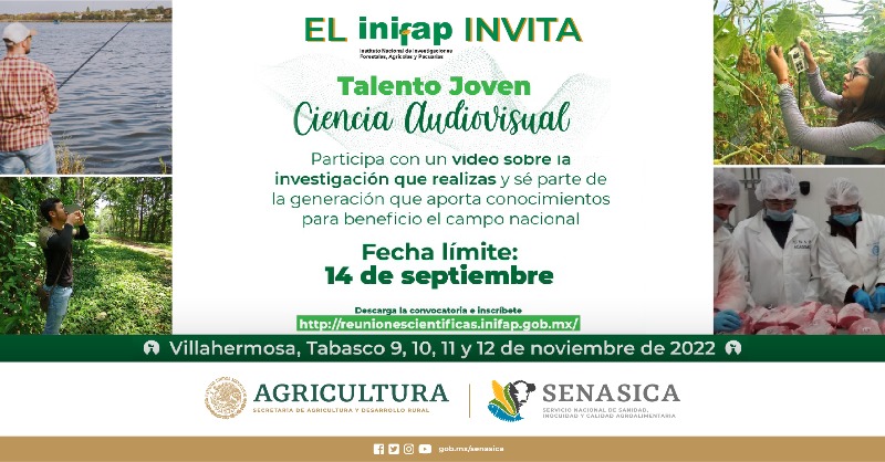 SENASICA's tweet photo. Para ti que estudias Agronomía, Biología, Medicina Veterinaria, Ecología o alguna disciplina afín...
👩🏽🔬👨🏽🔬🧪🧫🔬🩺🐮🐷🦎🐢🐠🐙🌿🍃🌱👩🏾
¡PARTICIPA en la 2º Edición del Reconocimiento al
#TalentoJoven - Ciencia Audiovisual!
✅ Consulta la CONVOCATORIA ➤ https://t.co/ya9ph8ltF2 https://t.co/KVIu11QcjM