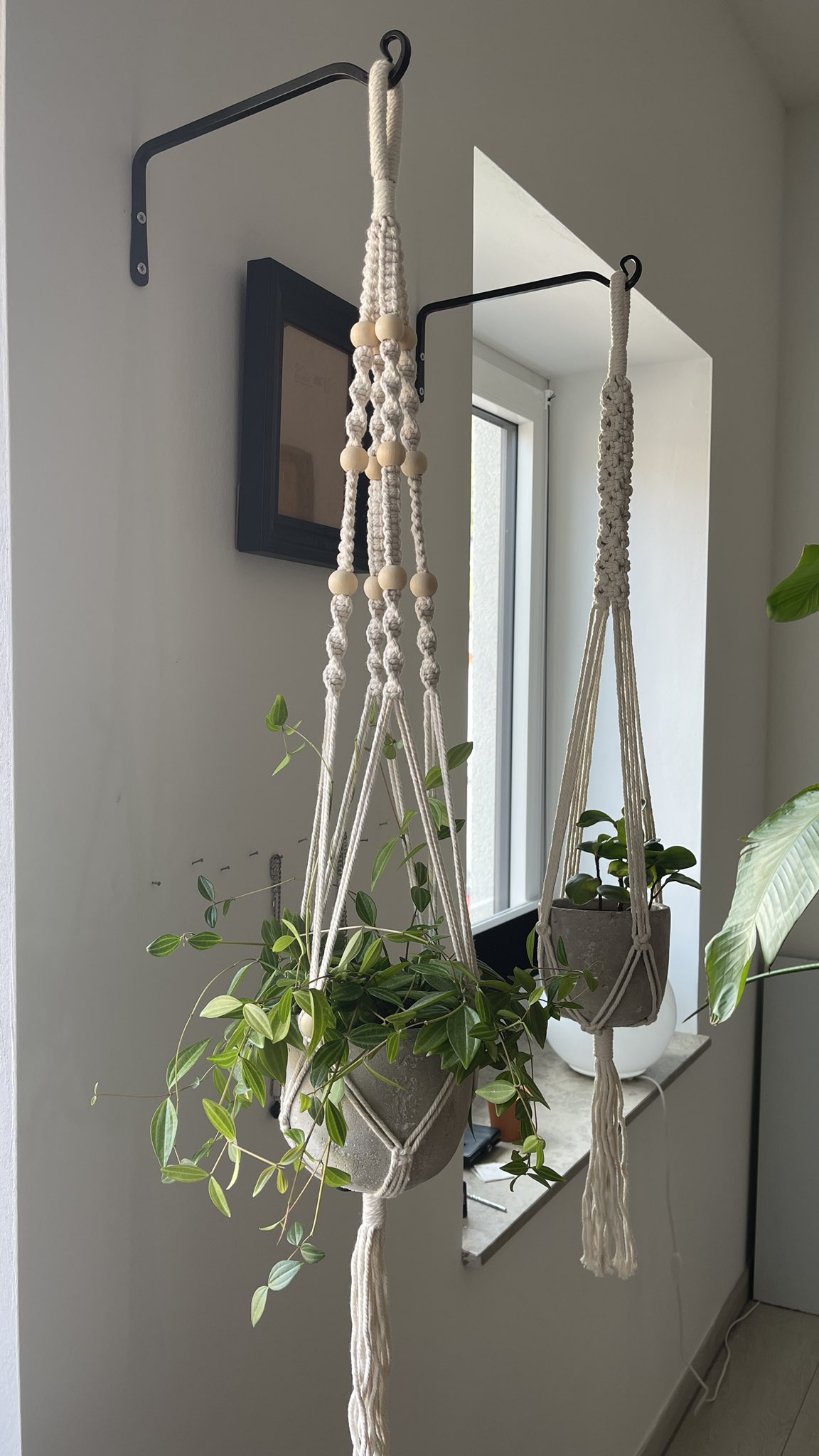 Tweets with replies by Mau (MaceZayuri) / Twitter