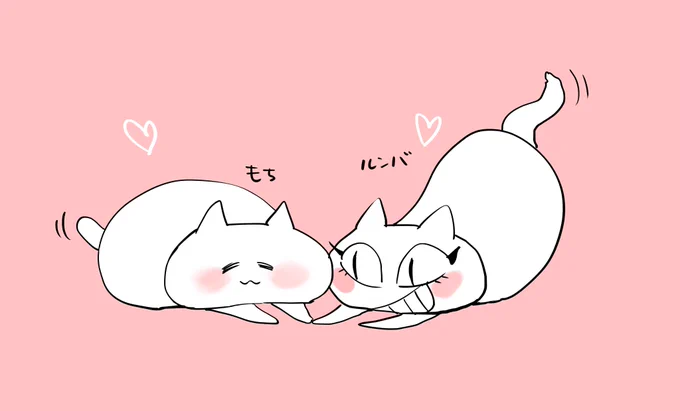 もち&ルンバ 